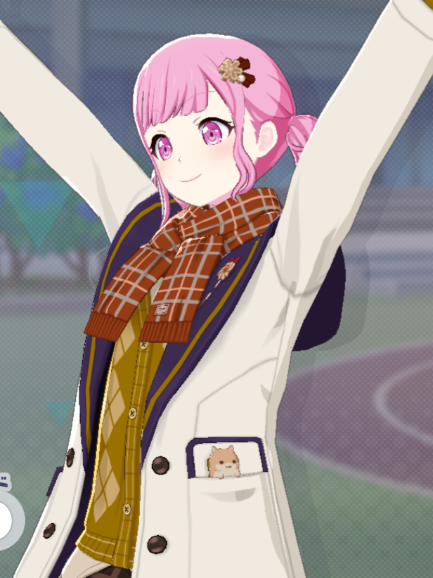 Hamster in pocket_a1.png