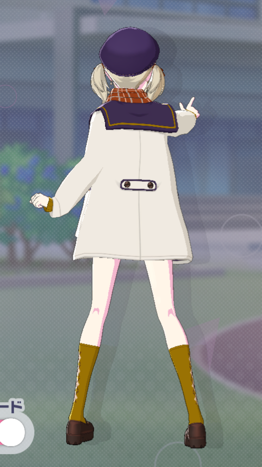 Hamster in pocket_b.png